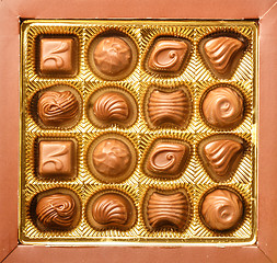 Image showing Variety Chocolate Pralines