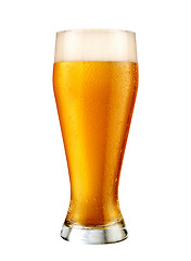 Image showing Glass of beer isolated