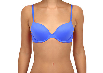 Image showing perfect female breasts in bra