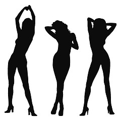 Image showing three model silhouette