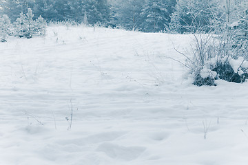 Image showing White Wintry Wonderland