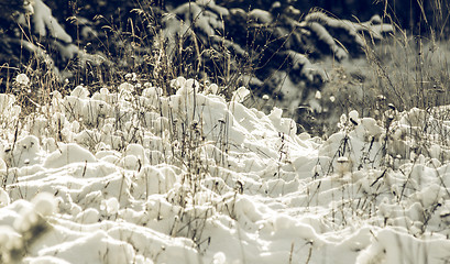 Image showing White Wintry Wonderland