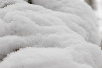 Image showing White Wintry Wonderland