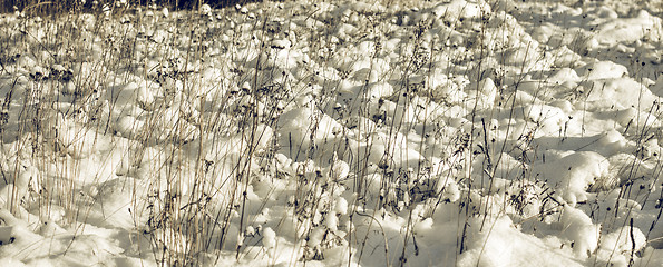 Image showing White Wintry Wonderland