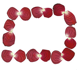 Image showing rose petals 