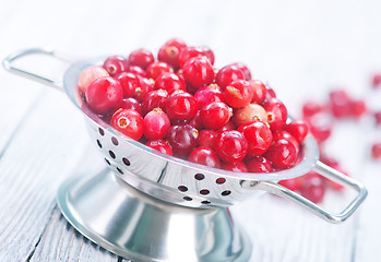 Image showing fresh cranberry