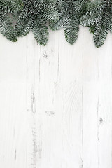 Image showing Christmas Fir and Snow Background