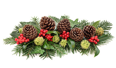 Image showing Winter Flora and Christmas Decoration