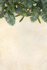 Image showing Fir and Mistletoe Border