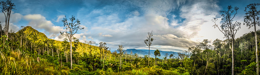 Image showing Nature in Sara village