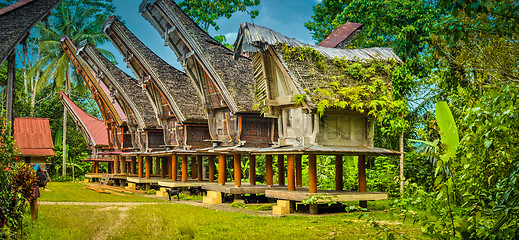 Image showing Typical ancestral houses in Sangalla