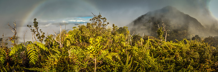 Image showing Rainbow above forest