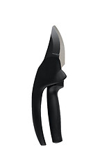 Image showing secateurs