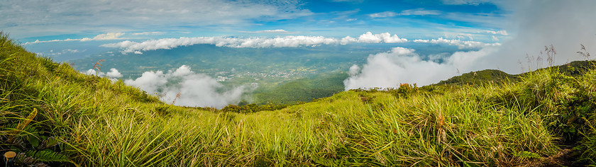 Image showing Fog and grass