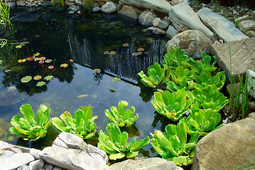 Image showing Pond