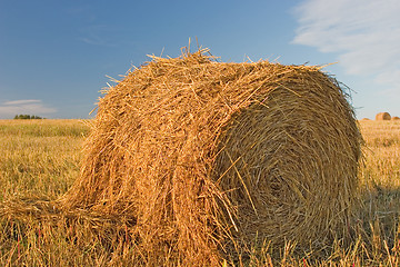 Image showing Hayrick close-up