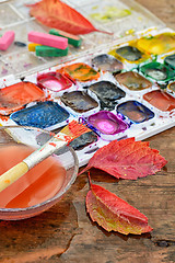 Image showing paint and autumn