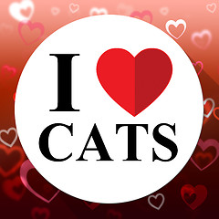 Image showing Love Cats Indicates Domestic Fabulous And Like Cat