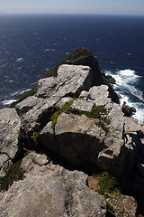 Image showing overlooking cape point