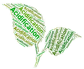 Image showing Acidification Word Means Environment Ph And Text