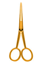 Image showing Gold scissors