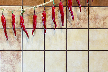 Image showing Background with fake chili peppers installation
