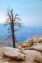 Image showing Grand Canyon National Park overview