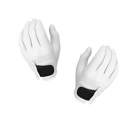Image showing Gloves isolated