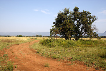 Image showing dirt track