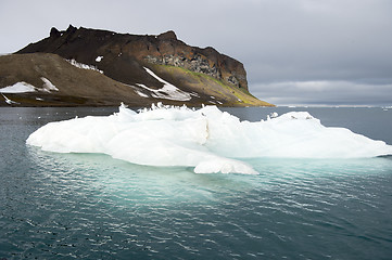 Image showing Seagulls on the iceberg