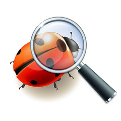 Image showing Magnifying glass and Ladybird