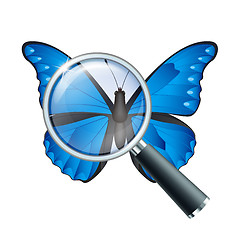 Image showing Magnifying glass and Butterfly