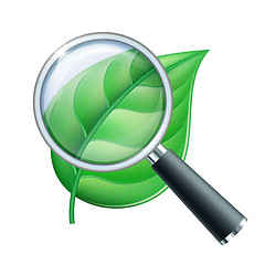 Image showing Magnifying glass and leaf