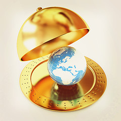 Image showing Serving dome or Cloche and Earth. 3D illustration. Vintage style