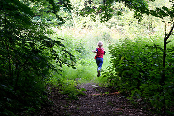 Image showing Evening walk