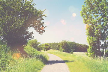 Image showing Nature trail in a summer landscape