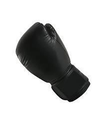 Image showing Boxing glove