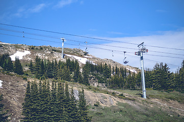 Image showing Mountain lift on a hill with pine trees