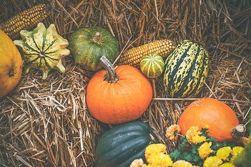 Image showing Pumpkins in various shapes