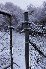 Image showing Open gate, Winter