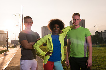 Image showing portrait multiethnic group of people on the jogging