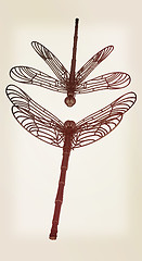 Image showing Dragonfly. 3D illustration. Vintage style.