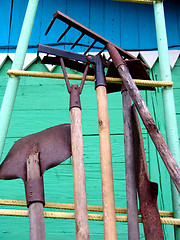 Image showing Gardening Tools