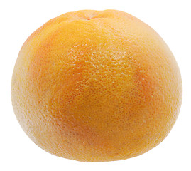 Image showing Grapefruit