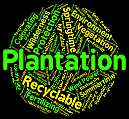 Image showing Plantation Word Means Farms Ranches And Farming