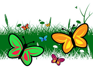 Image showing Butterfly In Summer Represents Warm Butterflies And Summertime