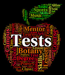 Image showing Tests Word Shows Assessment Tested And Testing