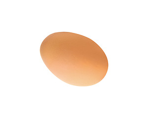 Image showing Single brown chicken egg
