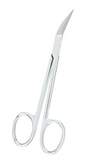 Image showing Nail scissors