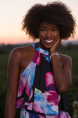 Image showing portrait of a young African-American woman in a summer dress